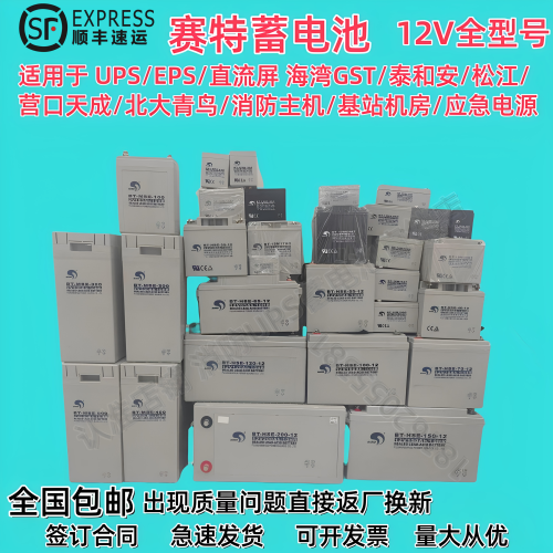 赛特海湾泰和安消防主机电池12V12AH/24AH/38AH/17AH/UPS应急电源