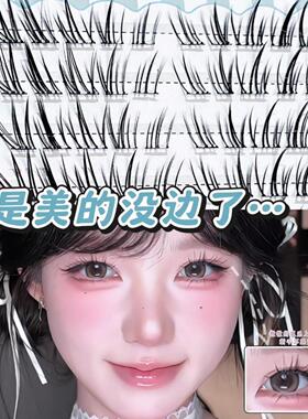 MIXIAOHE加浓小鹿睫自然斜飞轻盈
