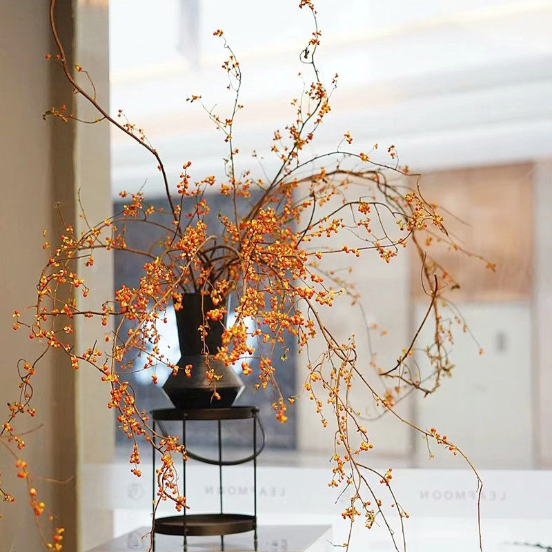 insfeng南蛇藤山归来天然植物干花花束客厅桌面树枝装饰干花侘寂