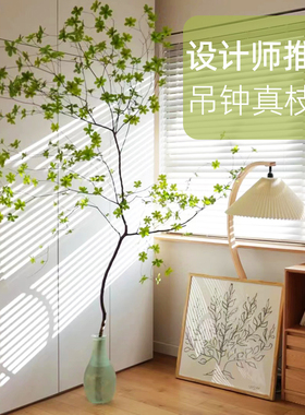 干支日本吊钟真枝假叶仿真绿植马醉木干花轻奢假植物装饰摆件室内