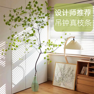 干支日本吊钟真枝假叶仿真绿植马醉木干花轻奢假植物装饰摆件室内