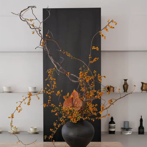南蛇藤山归来天然鲜切植物花束客厅桌面树枝装饰可做干花侘寂ins