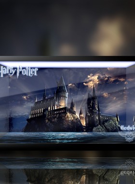 乐高LEGO 75979哈利波特海德薇送信猫头鹰高透亚克力展示盒