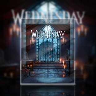 POPMART泡泡玛特 Skullpanda 星期三 潮玩展示盒