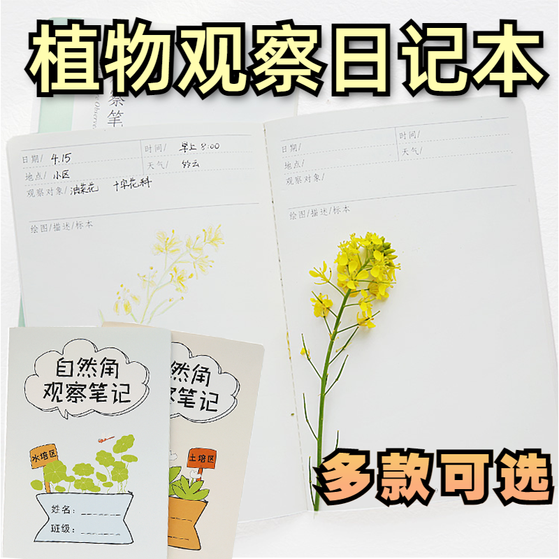 植物生长观察日记小学生幼儿园笔记本花草生长种植区观察记录本子