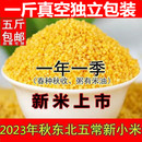 2023年新五常小米杂粮小包装 东北小黄米农家500g小米粥小黄米新米
