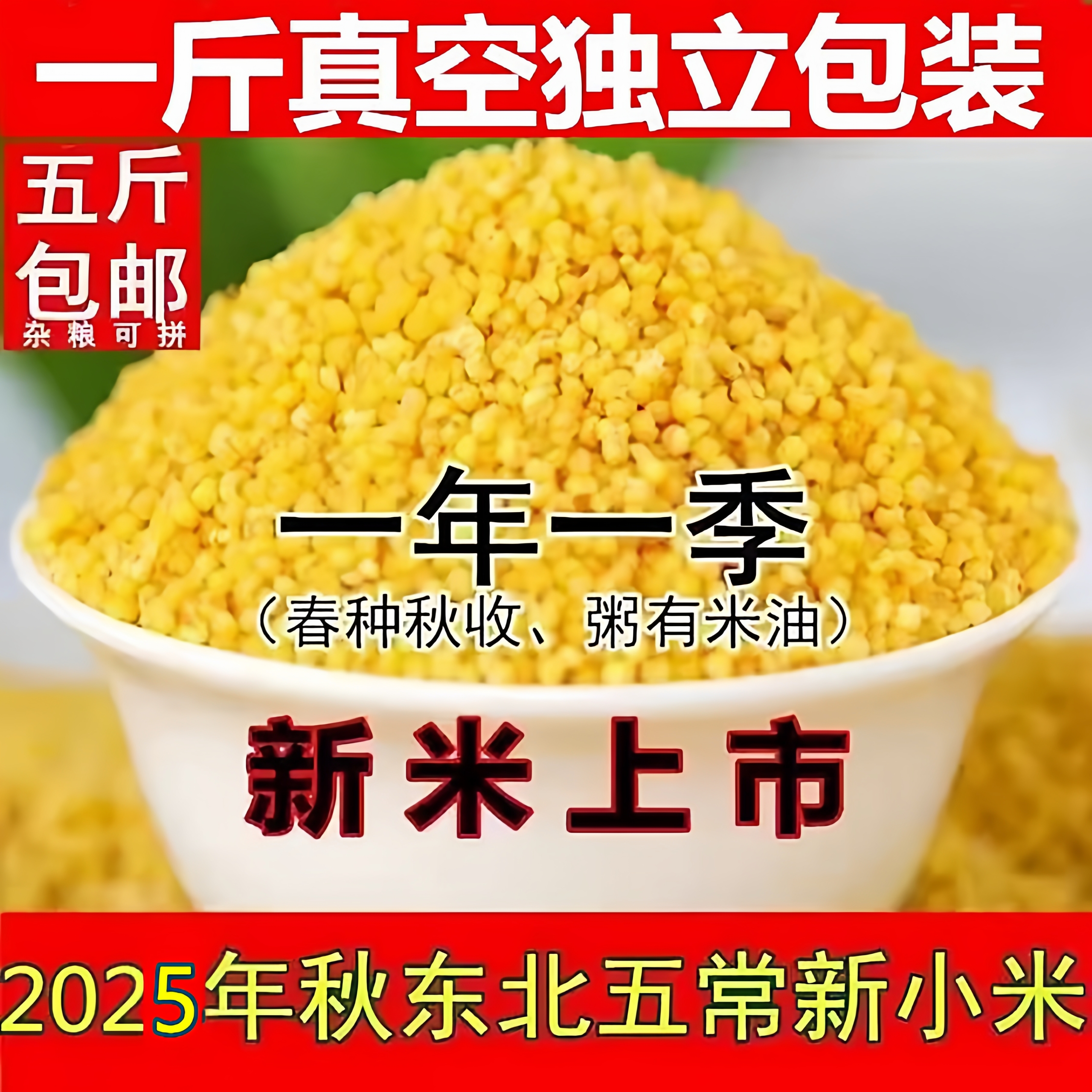 2025年新五常小米杂粮小包装东北小黄米农家500g小米粥小黄米新米