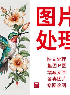 专业p图图片修改处理无痕改字抠图上色改色照片修复印前制作