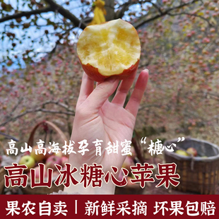 包邮 2025现摘冰糖心苹果新鲜水果红富士当季 新鲜水果整箱