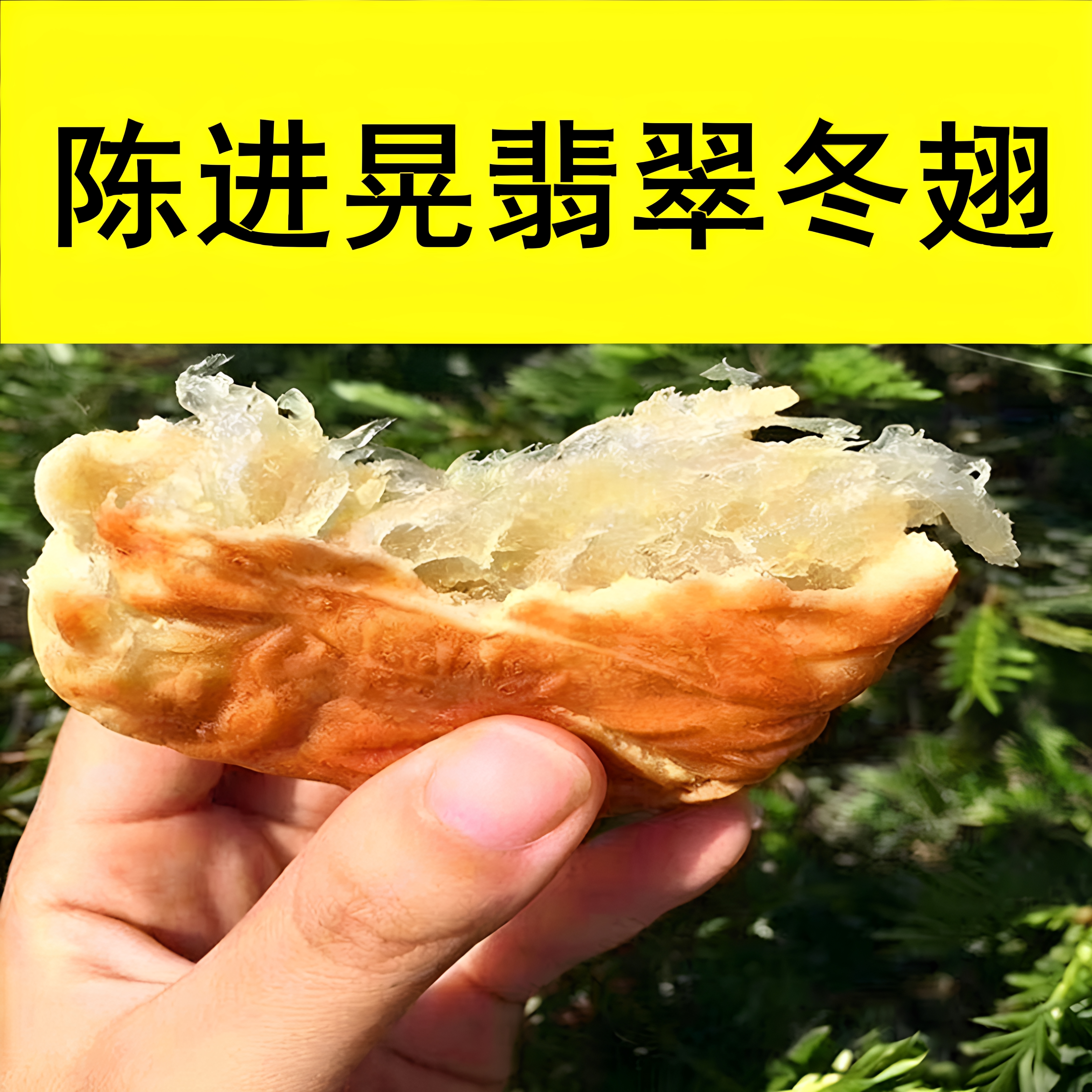 台山特产陈进晃纯冬蓉月饼筒装