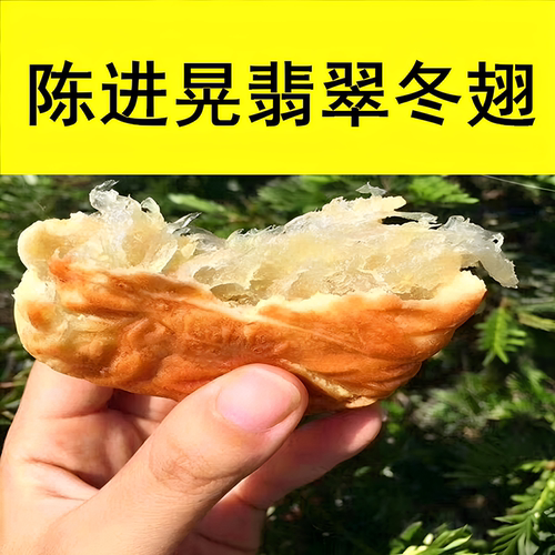 台山特产陈进晃纯冬蓉月饼筒装