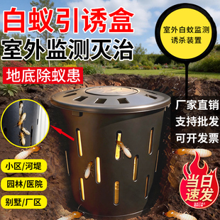 地下白蚁引诱盒户外专用草坪灭除杀白蚁桩监测装置室外预防引诱剂