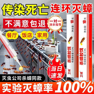 灭蟑螂胶饵小强药除蟑螂药大小通杀家用室内杀蟑螂神器一窝厨房端