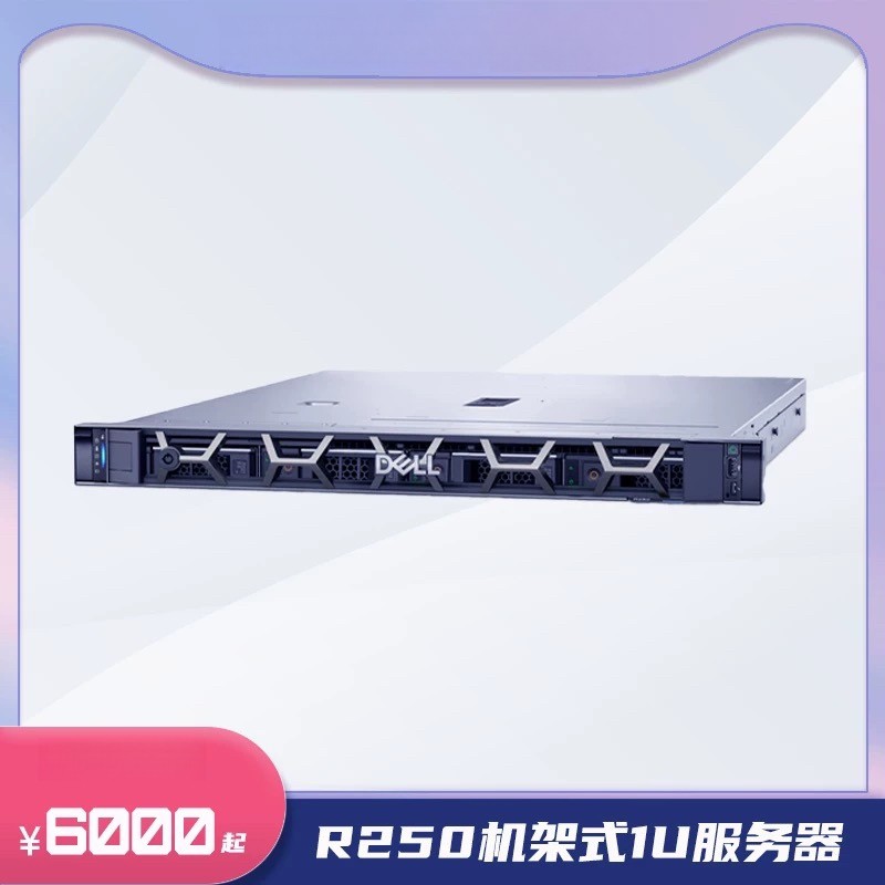 戴尔DELL EMC R250企业服务器主机1U机架式单路 ERP/网站/财务/