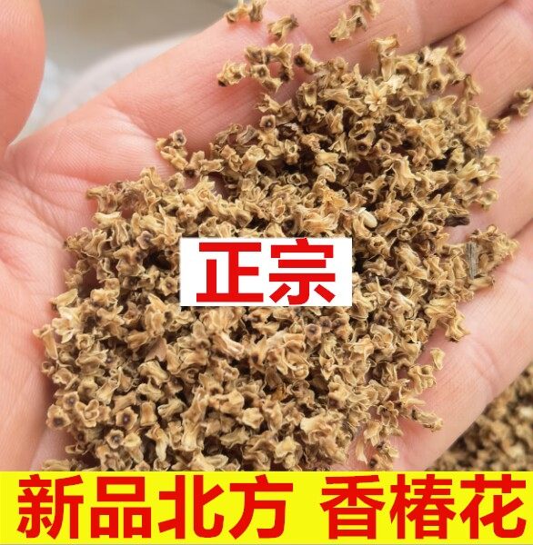 香椿花野生老树 新货香椿花干货中药材椿树花 50克 香椿果 香椿叶