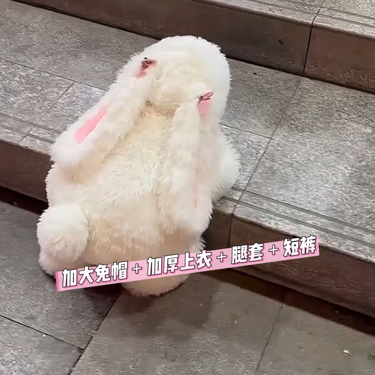 可爱风仿毛皮草毛绒兔兔套装儿童冬加厚连帽毛毛外套宝宝甜美套装,童装/婴儿装/亲子装,套装,淘宝优惠券,粉丝福利购,淘宝优惠卷