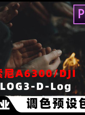 专业电影色调大疆精灵SONY索尼a6300调色SLOG3滤镜LUTS预设PP8/9