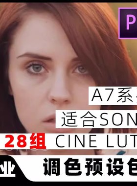 专用Sony索尼a7s/a7sii/a7iia7rii调色Cine4/2 Slog2滤镜LUTs预设