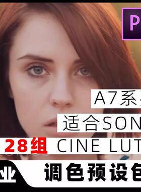 专用Sony索尼a7s/a7sii/a7iia7rii调色Cine4/2 Slog2滤镜LUTs预设