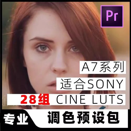 专用Sony索尼a7s/a7sii/a7iia7rii调色Cine4/2 Slog2滤镜LUTs预设