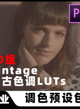 复古电影色调VINTAGE视频SLOG/VLOG调色LUTS滤镜预设AE/PR/FCPX