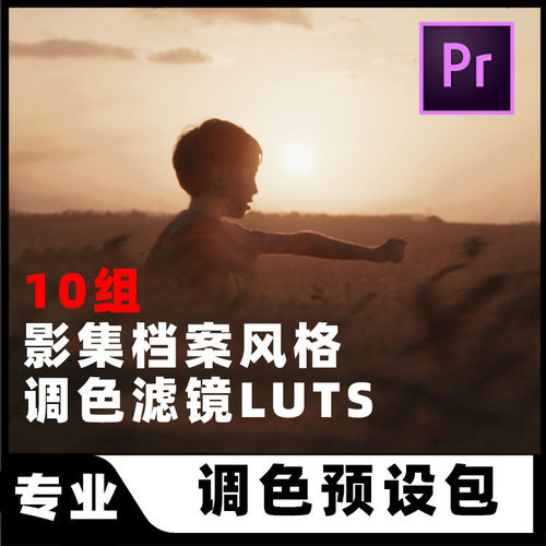 电影档案影集色调SLOG/VLOG调色滤镜LUTS预设AE/PR/FCPX/达芬奇等