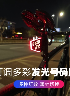 公路车发光号码牌彩色可调自行车发光车牌蓝牙app灯牌支持定制