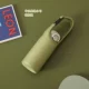 Зеленый авокадо [модель с маленьким замком]