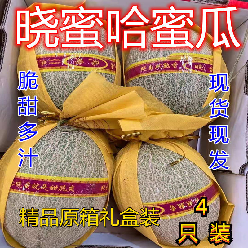 哈蜜瓜原箱礼盒只脆多汁香甜