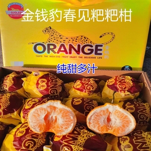 现货金钱豹粑粑柑原箱8斤礼盒装纯甜多汁新鲜水果春见橘子粑粑柑