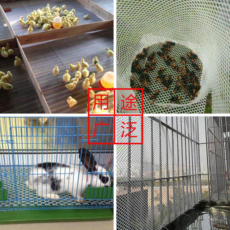 网板加厚养殖鸡鸭育雏防护网楼梯格片胶封猫防坠塑料阳台防网窗网