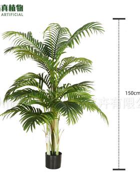 仿真绿植大型葵绿植盆栽散尾葵塑胶仿真树人造凤尾葵天竺葵假树