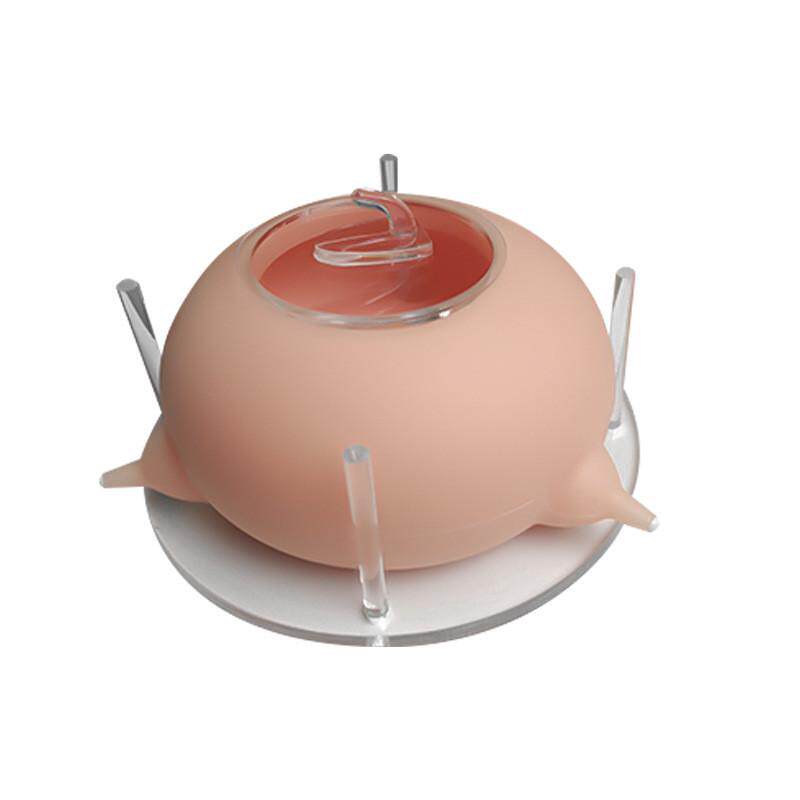 现货硅胶宠物喂食器小猫小狗仿生奶嘴宠物奶瓶宠物吸奶喂奶器,宠物/宠物食品及用品,宠物智能饮水机/净水器,淘宝优惠券,粉丝福利购,淘宝优惠卷