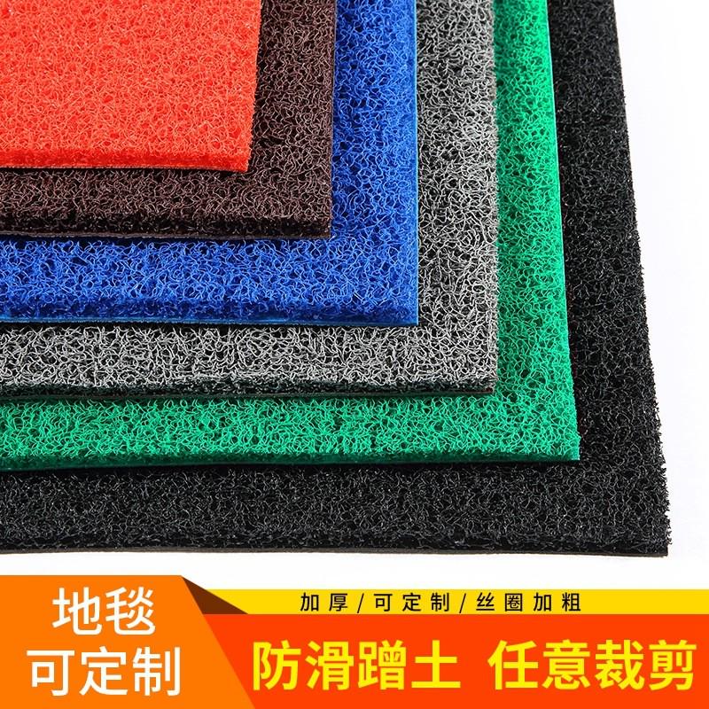 V45O丝圈地毯PVC塑料酒店迎宾门垫防滑入户门口电梯防滑丝圈地垫
