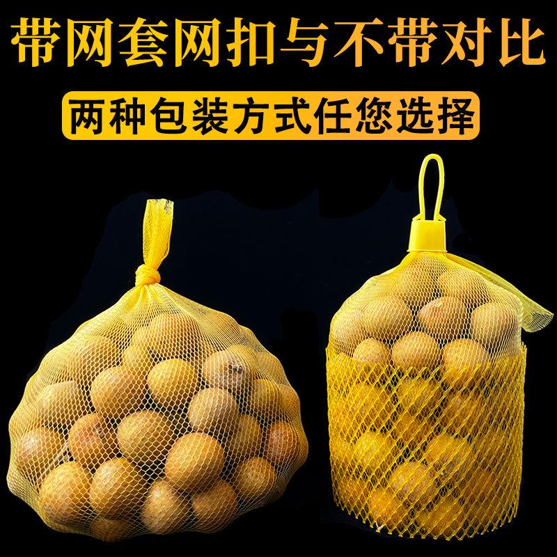 龙眼网袋批发桂圆小袋子精品手提水果网眼网兜包装小橘子编织新款