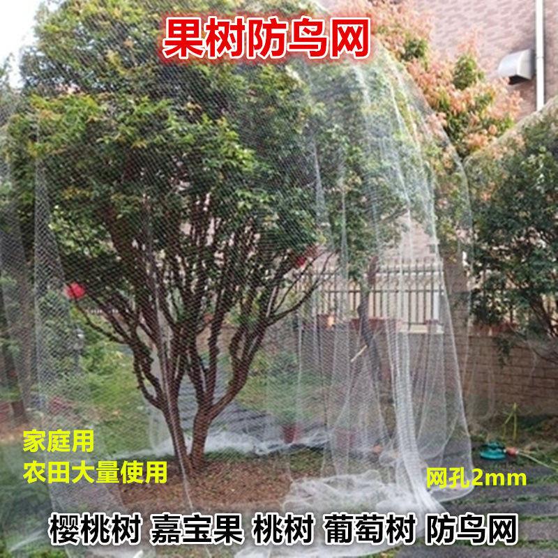 果树专用防鸟网樱桃树葡萄蔬菜防护罩尼龙网网罩果子防鸟网子厂家