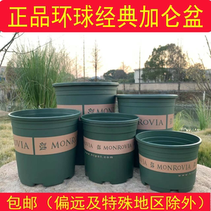 环球正品加仑盆树脂塑料矮胖盆月季多肉绿萝绣球花盆