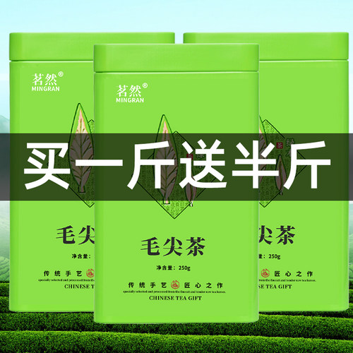 买一斤送半斤茗然信阳原产毛尖茶