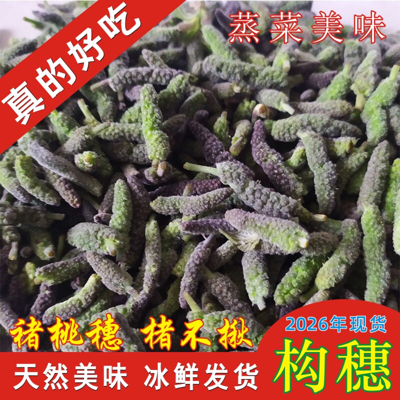构树穗焯水冷冻褚桃穗野生蒸菜构穗野菜楮不揪构棒槌儿美味构蒲穗