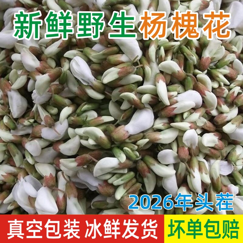 2026年新鲜槐花当季现摘花苞花骨朵洋槐花真空冷冻杨槐花野菜包邮