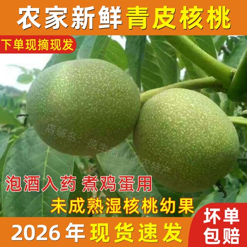 26年新鲜青皮核桃现摘带绿皮核桃