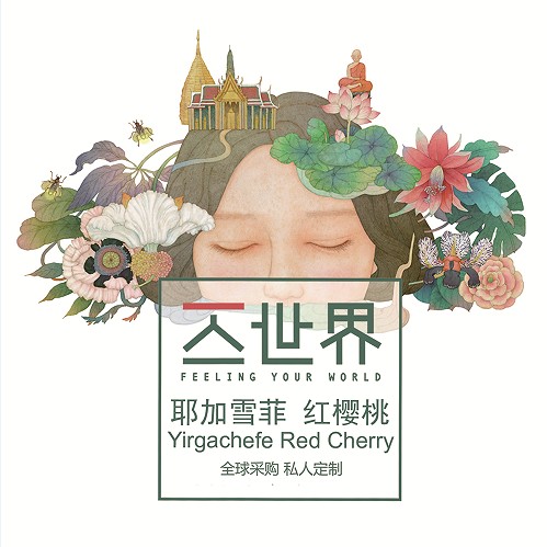 耶加雪菲红樱桃挂耳盒装滴滤咖啡（内装10包）原装进口现磨咖啡粉