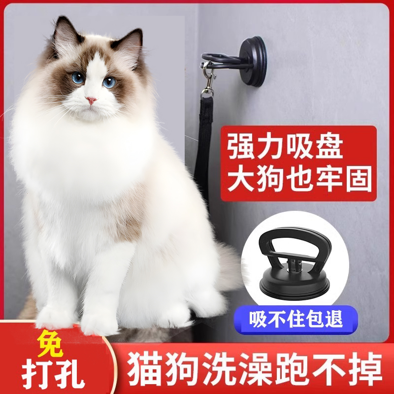 宠物洗澡固定器美容桌吊绳猫咪洗澡神器牵引绳吸盘剃毛拴狗绑狗绳
