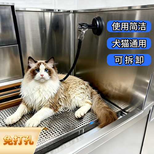 宠物洗澡固定器美容桌吊绳猫咪洗澡神器牵引绳吸盘剃毛拴狗绑狗绳