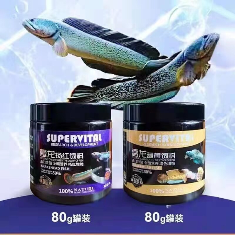 速倍妥雷龙鱼饲料螺旋藻蛋白营养天然喂食进口增色专用鱼粮小颗粒