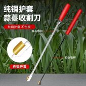 蒜苔收割刀加长不锈钢蒜薹刀打蒜苔划剥蒜苔抽蒜苔拔蒜苔工具