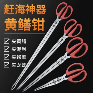 黄鳝夹子赶海捕鱼螃蟹夹捡垃圾夹子家用拾物龙虾火钳夹子加长加厚