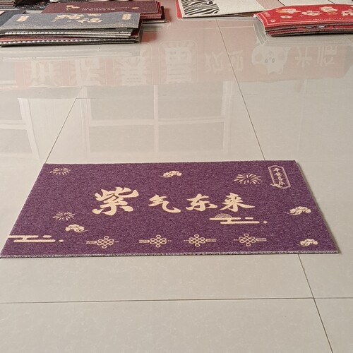 新丝圈地垫60*90厘米