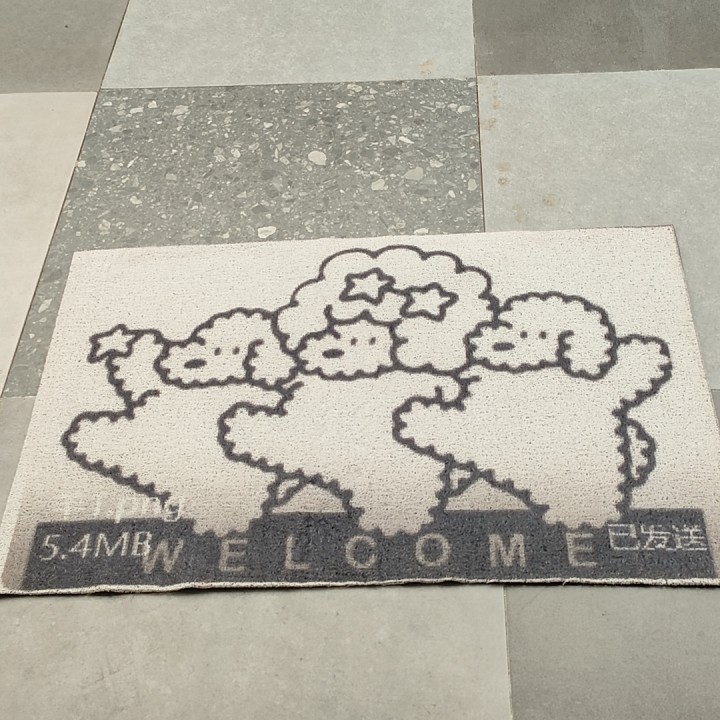 微瑕丝圈地垫50*80,居家布艺,入户地垫,淘宝优惠券,粉丝福利购,淘宝优惠卷