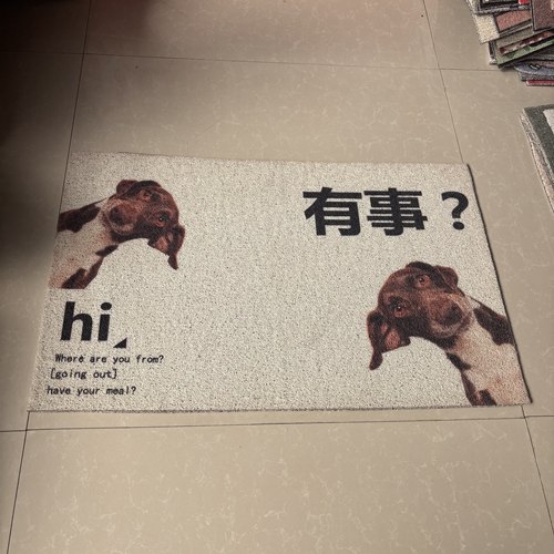 50cm*80cm微瑕丝圈地垫特卖 025-048